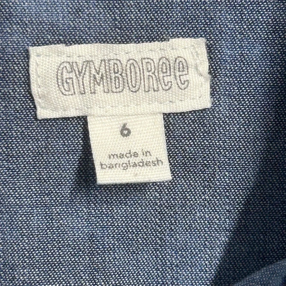 Gymboree Blue Denim Dress with Paisley Pattern